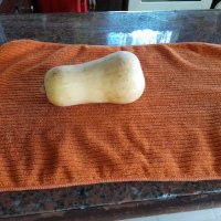 Squash