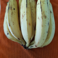 Plantains